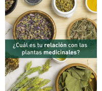 Plantas Medicinales